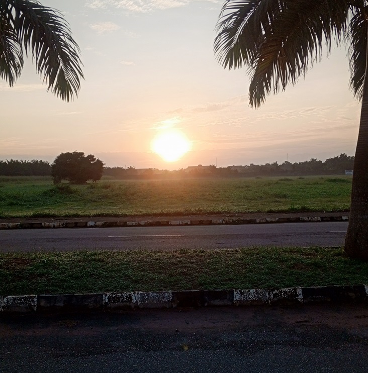 An overview of Covenant University's Palm Oil Plantation